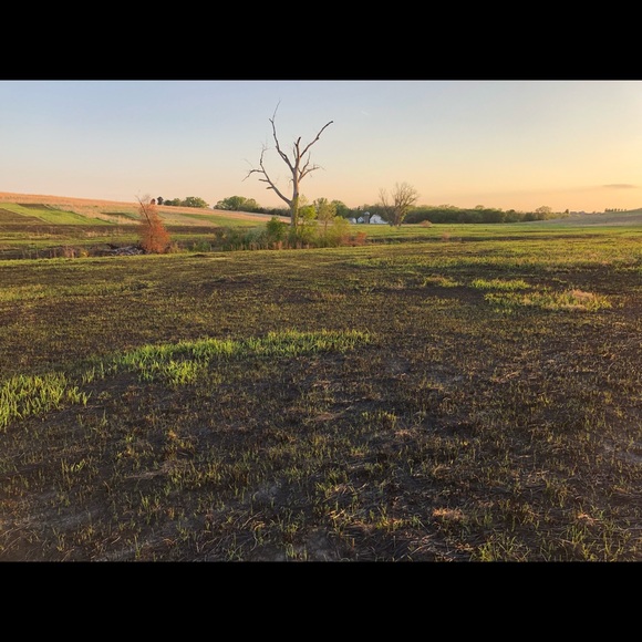 Meet your Posher, Tracy - Picture 4 of 5